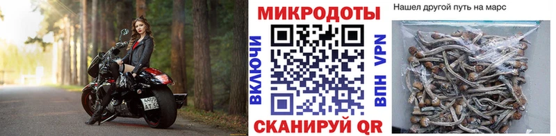 ОМГ ОМГ сайт  Вяземский  Псилоцибиновые грибы Cubensis 